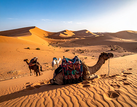 Morocco