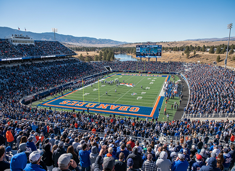 Sports Stadium