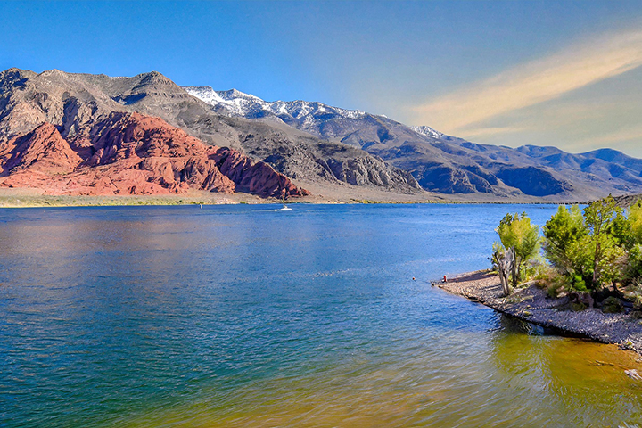 Nevada