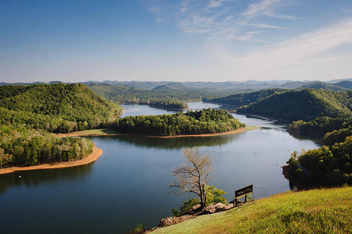 Virginia