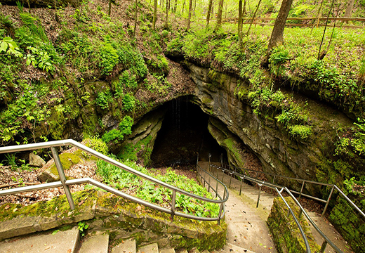 Cave Entrance