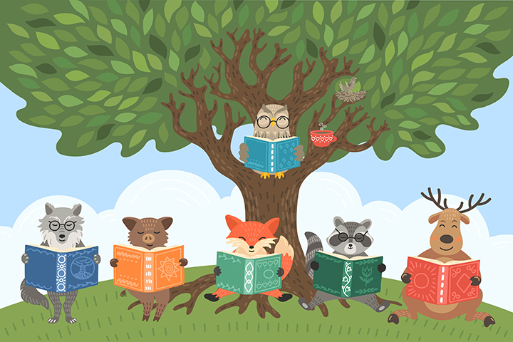Teach Outdoor Skills