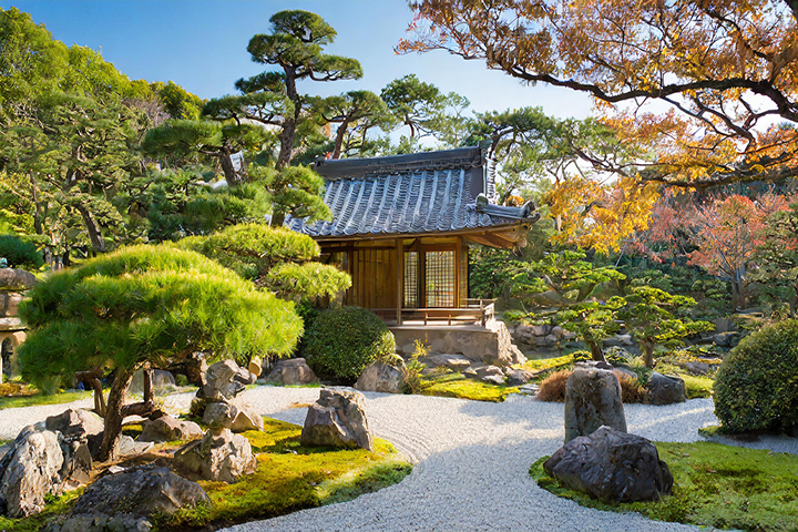Japanese Gardening
