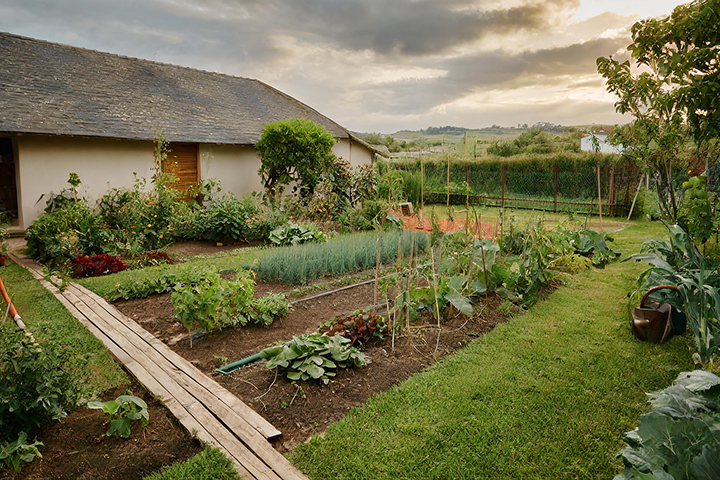 Organic Gardening
