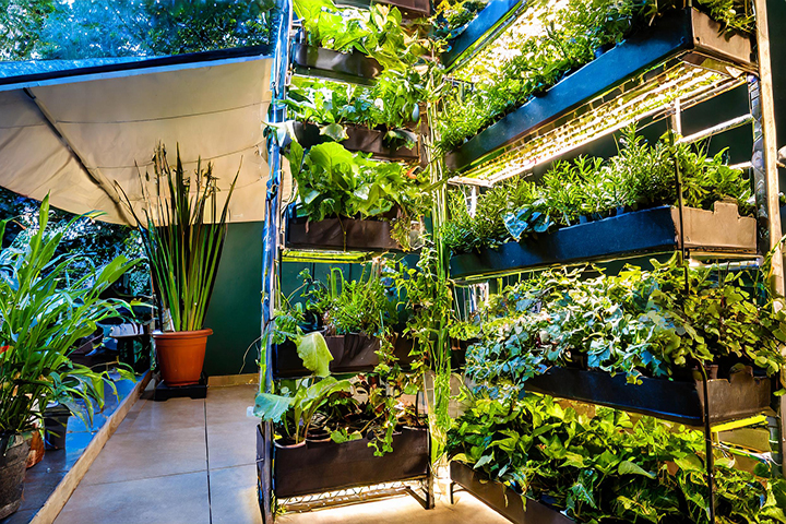 Vertical Gardening