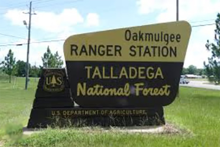 Oakmulgee Forest