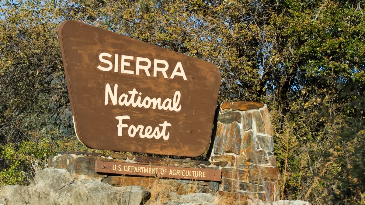 Siera National Forest