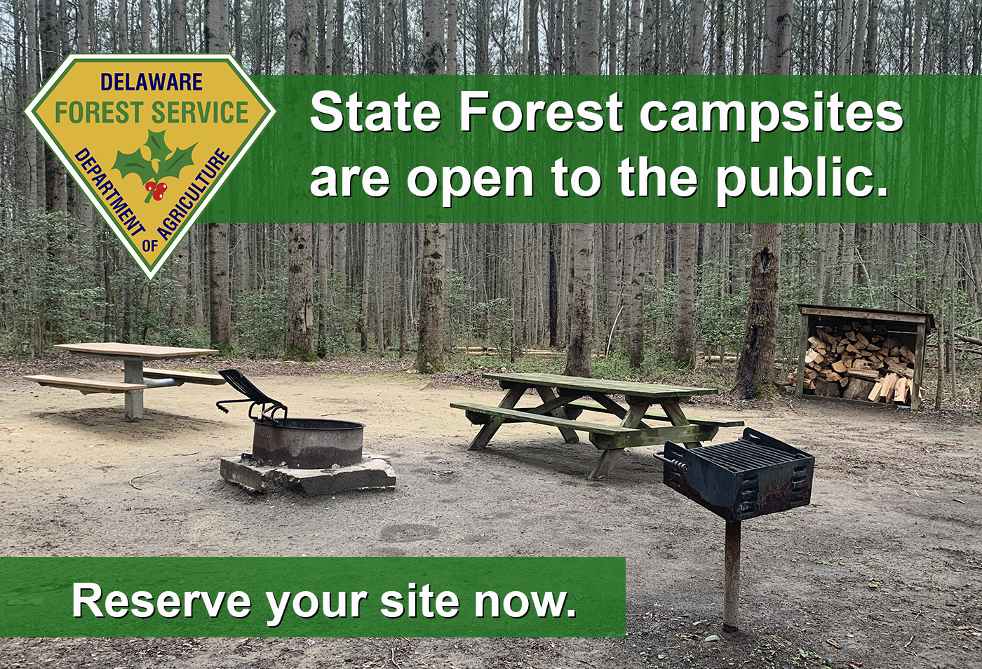 Deleware Forest