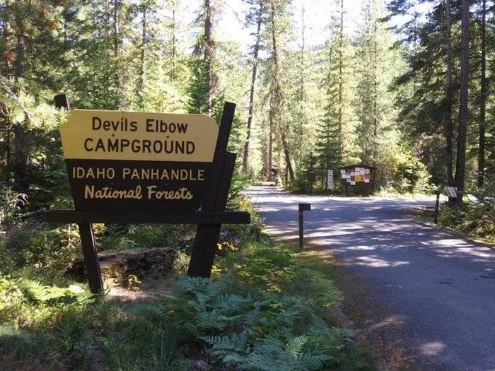 Idaho Forest