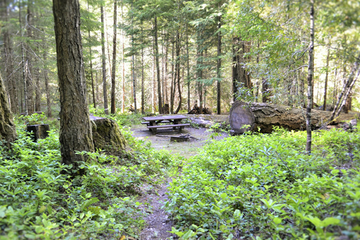 Illinois Campsite