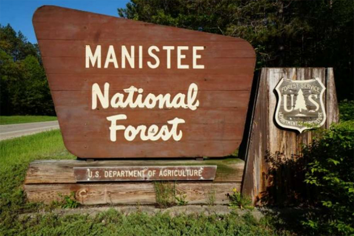Manistee Forest