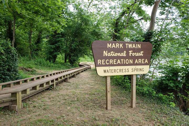 Mark Twain Forest