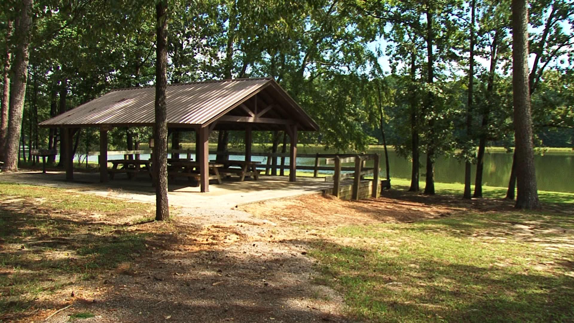 Bienville Forest