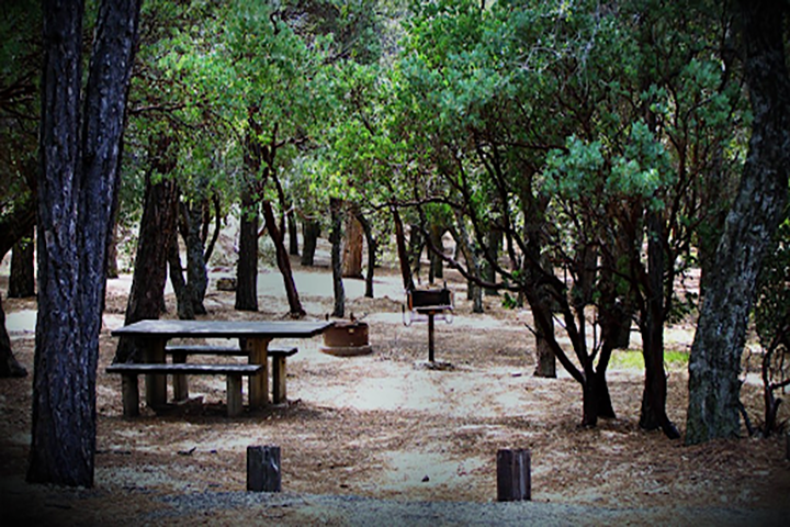 Pine Ridge National Recreation Area