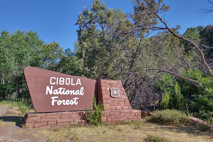 Cibola Forest