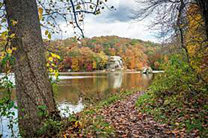 Wayne National Forest