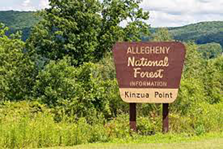 Nebraska Forest