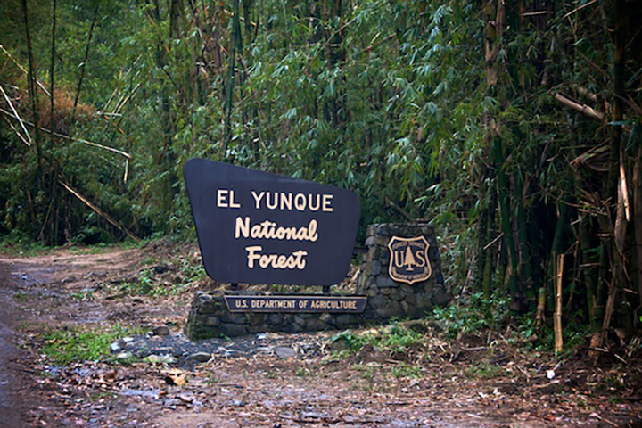 El-Yunque-National-Forest