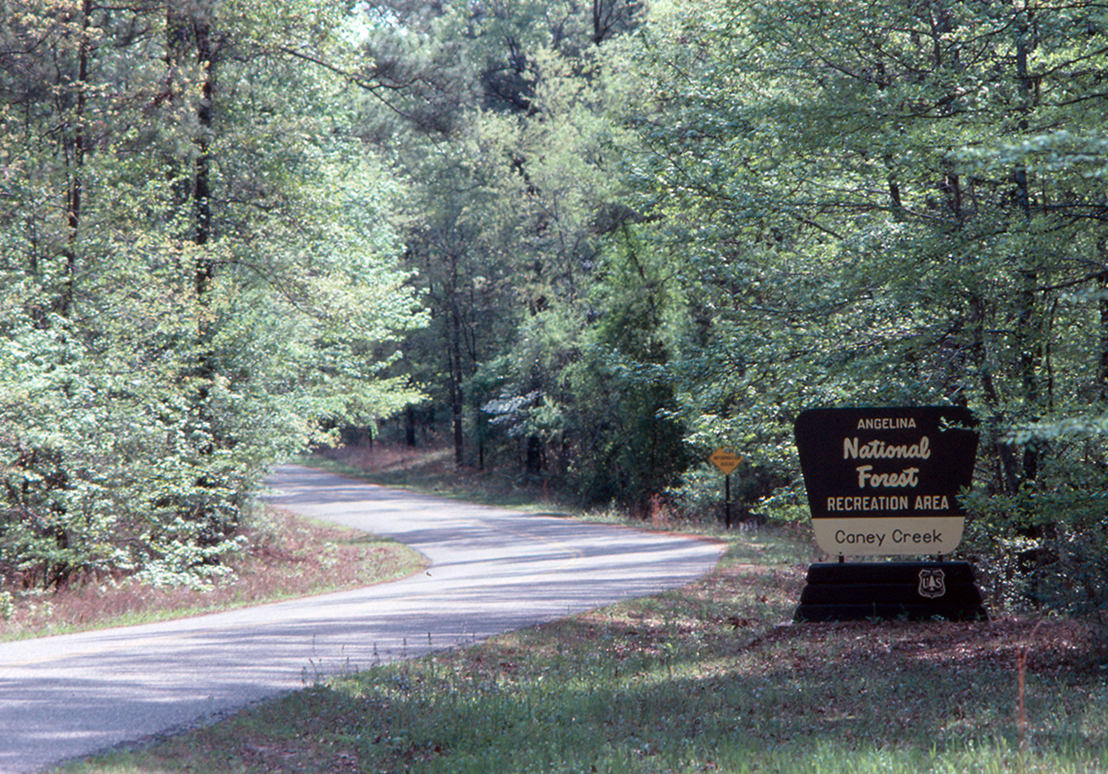 Nebraska Forest