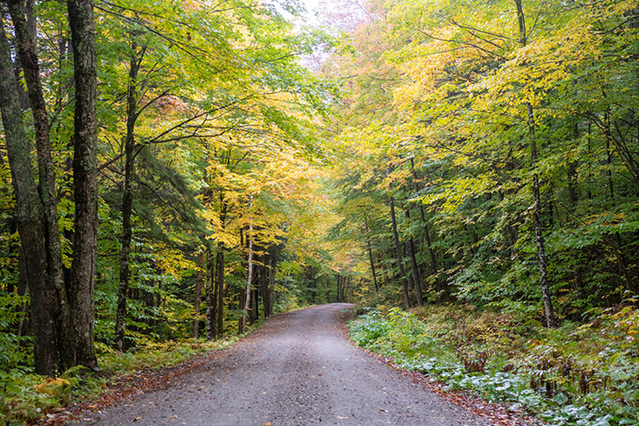 Pine Ridge National Recreation Area