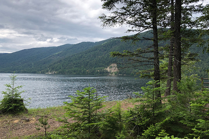 Colville National Forest