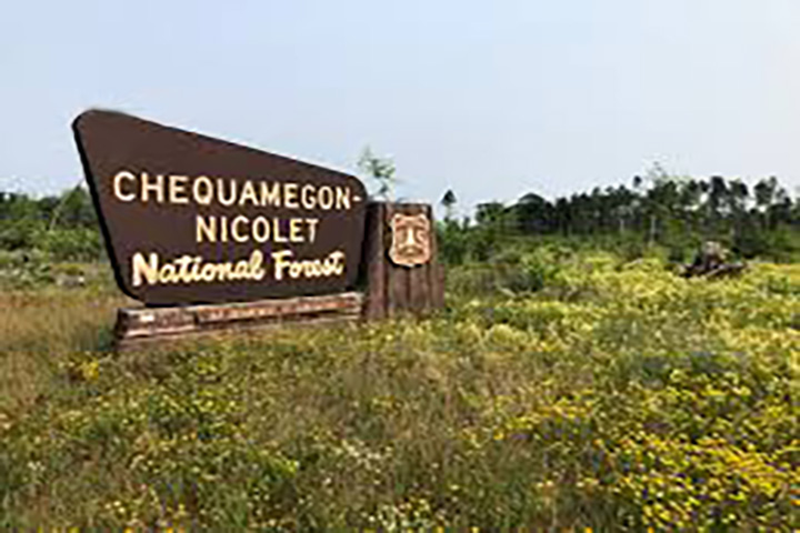 Nebraska Forest