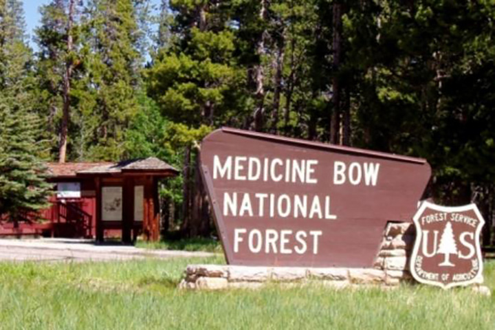 Medicinebow National Forest