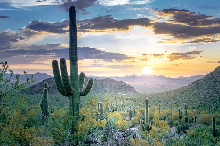 National Park