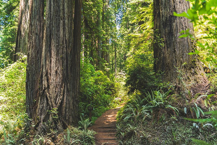 National Park