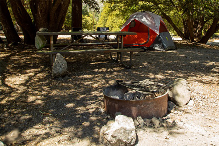 Forest Service Camp